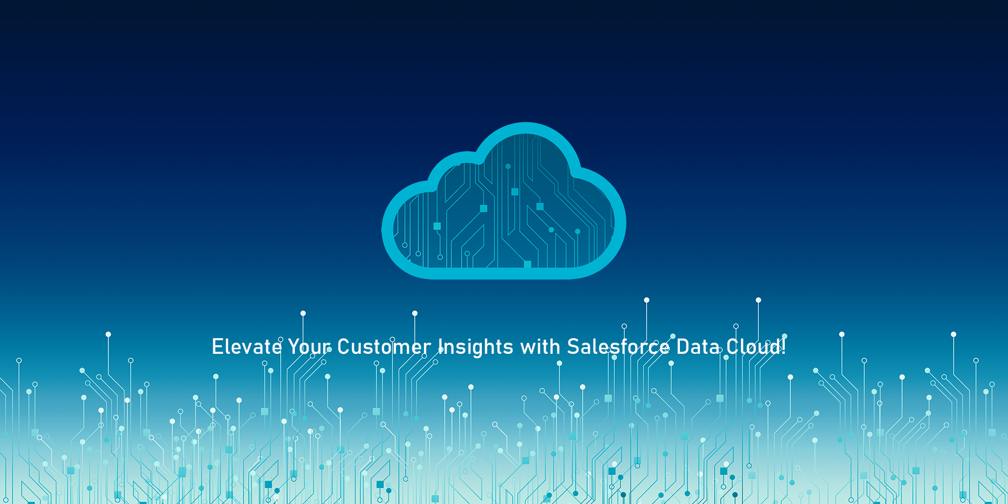 furuCRM Salesforce Data Cloud Service Banner
